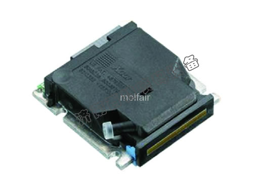 ���^�S�҃r��